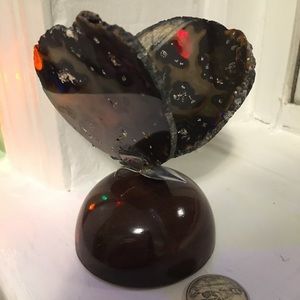 Natural Agate butterfly display